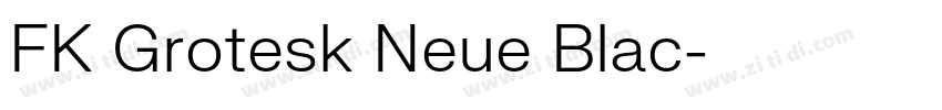 FK Grotesk Neue Blac字体转换 FK Grotesk Neue Blac字体转换